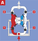 �������ϸ�Ĥ��